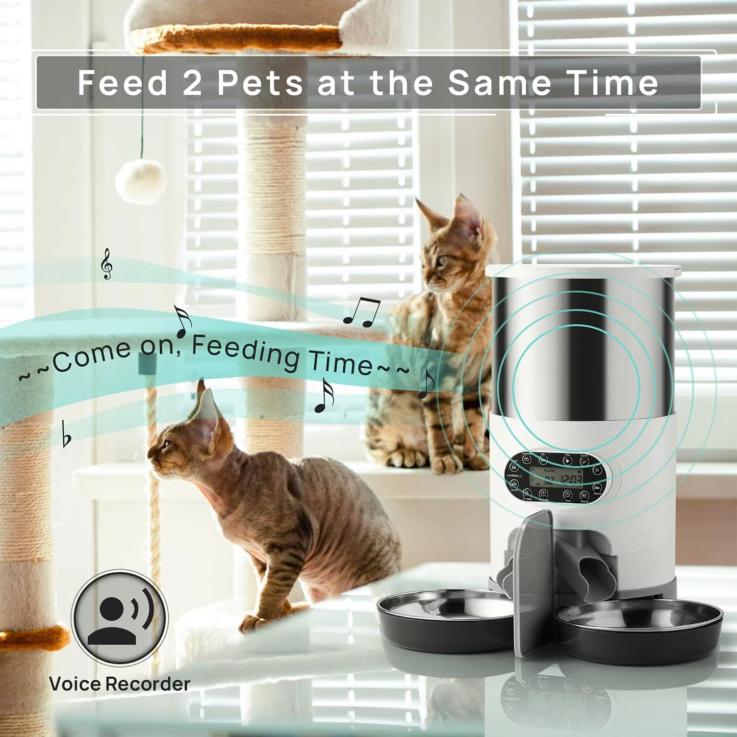 Automatic Cat Feeder Pets Dry Food Dispenser Double Bowls for Two Cats Dogs with Wifi Timing Feeding Voice Recorder Tuya APP