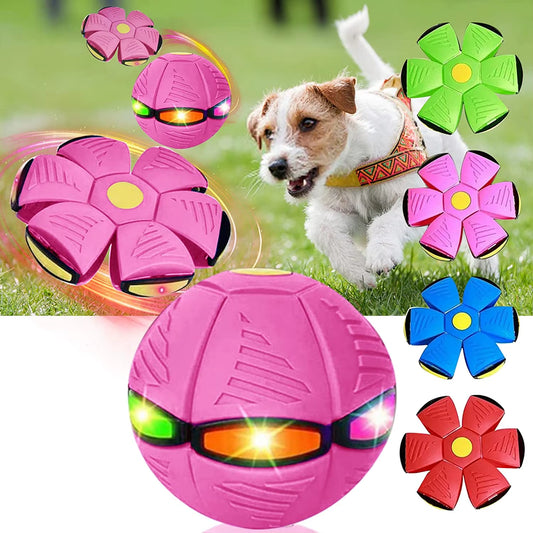 2023 New Pet Dog Toy Magic Flying Saucer Ball Durable Soft Rubber Interactive Throwing Ball Outdoor Sport Dog Training Equipment